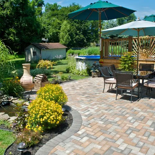 Top-rated yard cleanup service near you in San Marcos, TX by San Marcos Landscaping