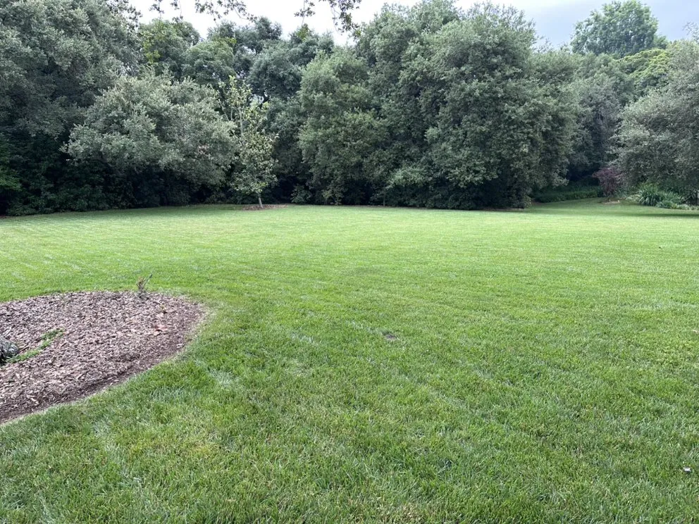 Top-rated garden landscaping experts serving Pasadena, CA - San Marino Gardening & Exclusive Landscaping