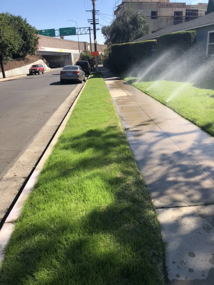 Affordable yard cleanup service with custom design across Los Angeles, CA - San Rafael Landscape