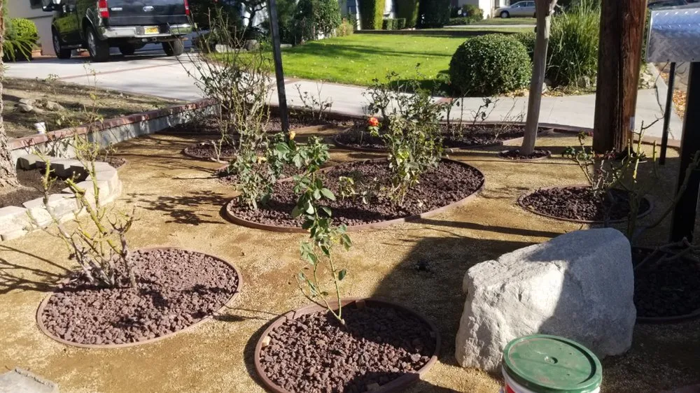 Affordable residential landscaping for outdoor upgrades in Los Angeles, CA by San Rafael Landscape