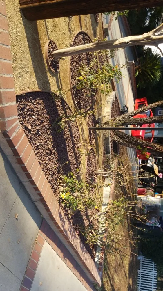 Affordable yard cleanup service experts serving Los Angeles, CA - San Rafael Landscape