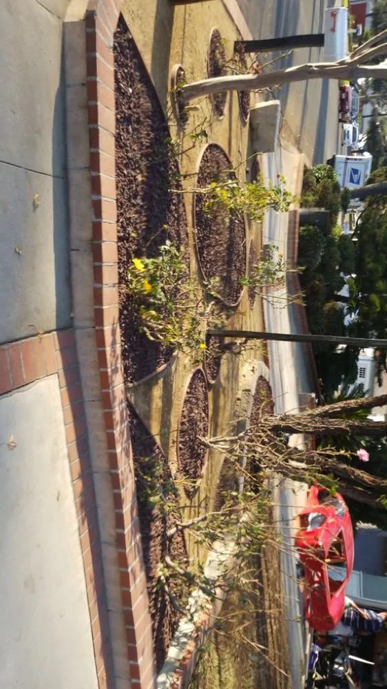 Local landscaping services experts serving Los Angeles, CA - San Rafael Landscape