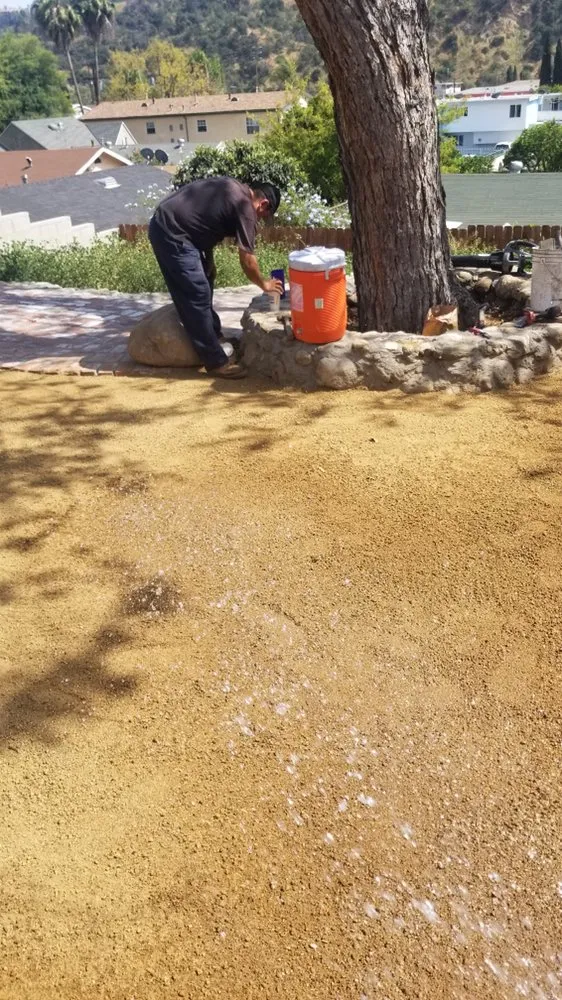 Local landscape design experts serving Los Angeles, CA - San Rafael Landscape