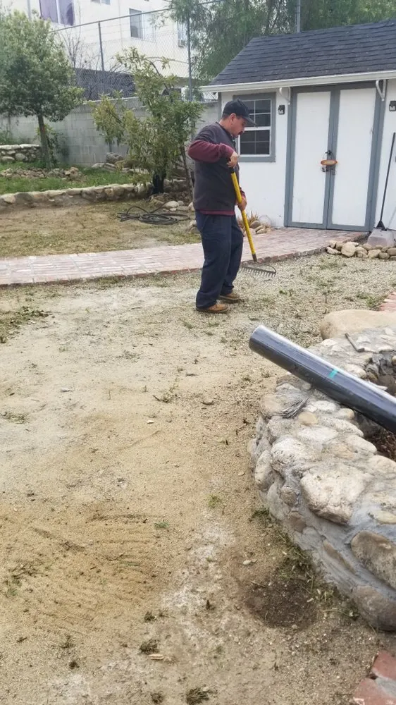 Expert yard cleanup service in Los Angeles, CA - San Rafael Landscape