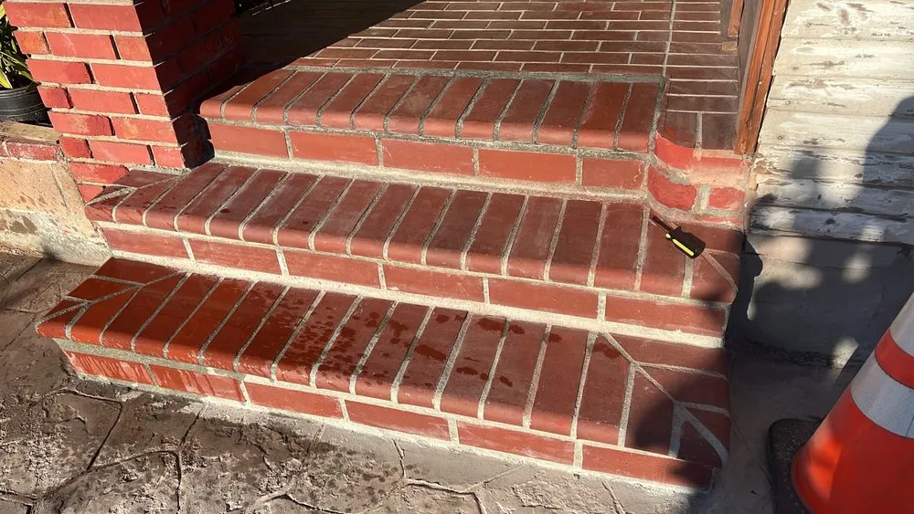 Top-rated yard maintenance in Los Angeles, CA - San Rafael Landscape