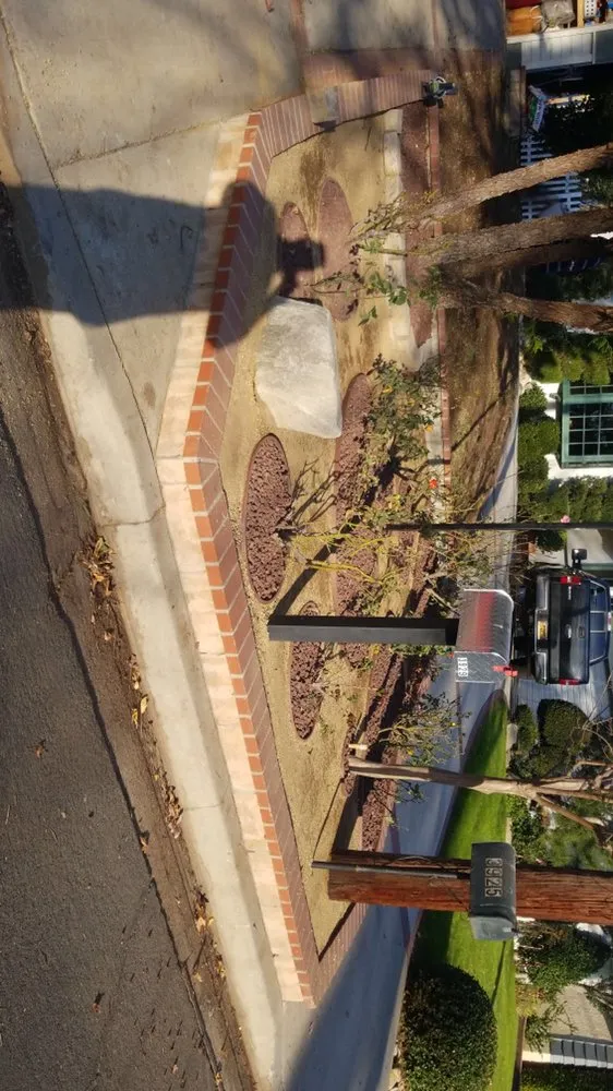 Reliable landscape installation for outdoor upgrades across Los Angeles, CA - San Rafael Landscape