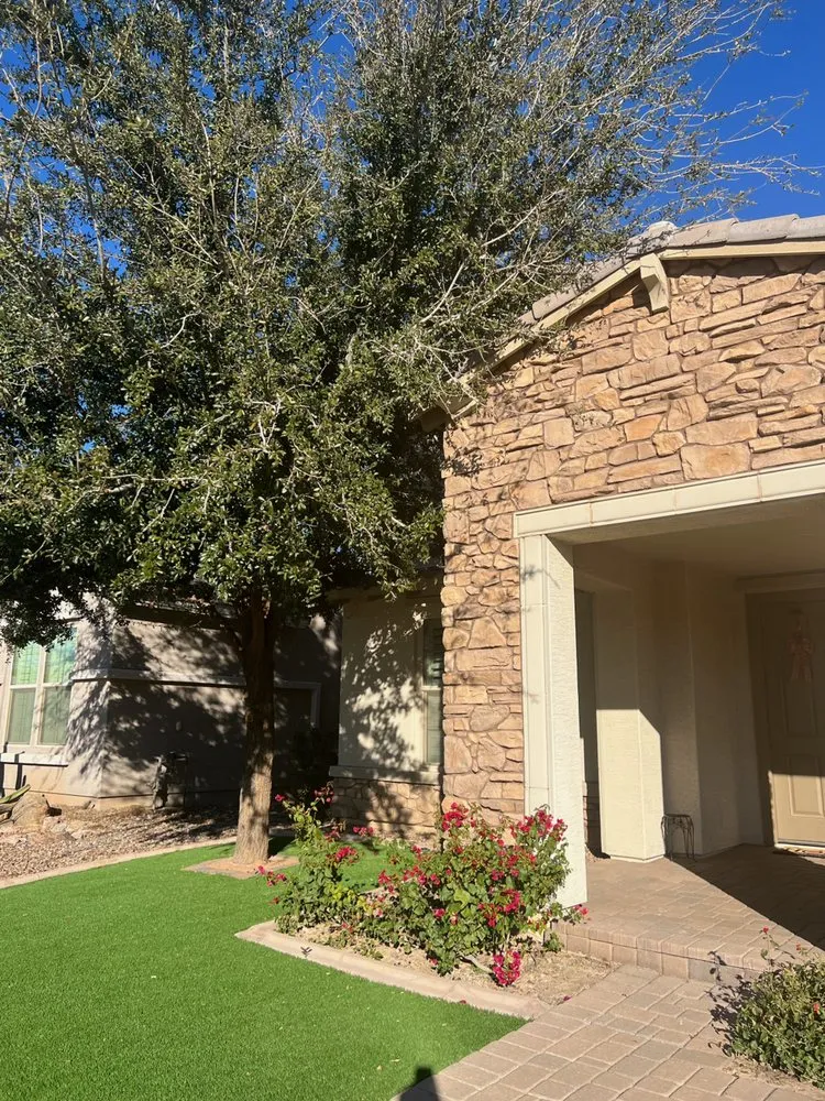 Professional outdoor landscaping for beautiful yards across Queen Creek, AZ - San Tan Land Management