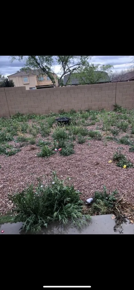 Professional garden landscaping in Queen Creek, AZ by San Tan Land Management