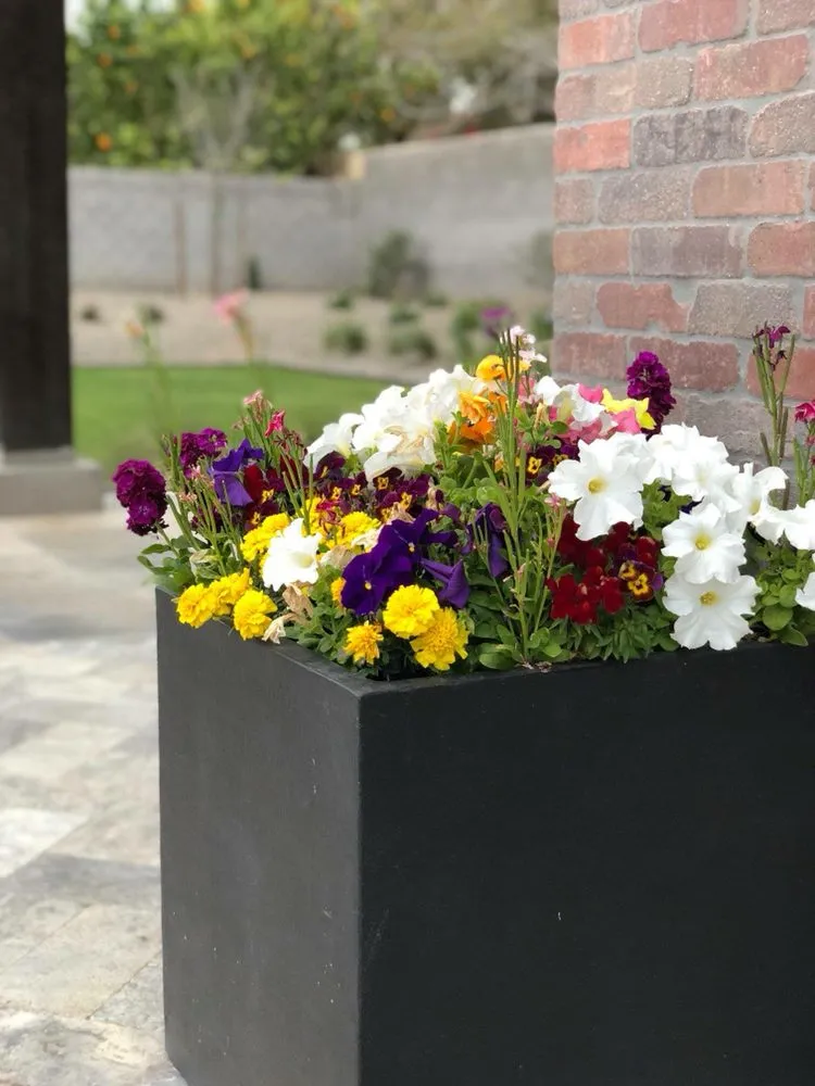 Professional landscape design in Apache Junction, AZ by San Tan Valley Landscaping