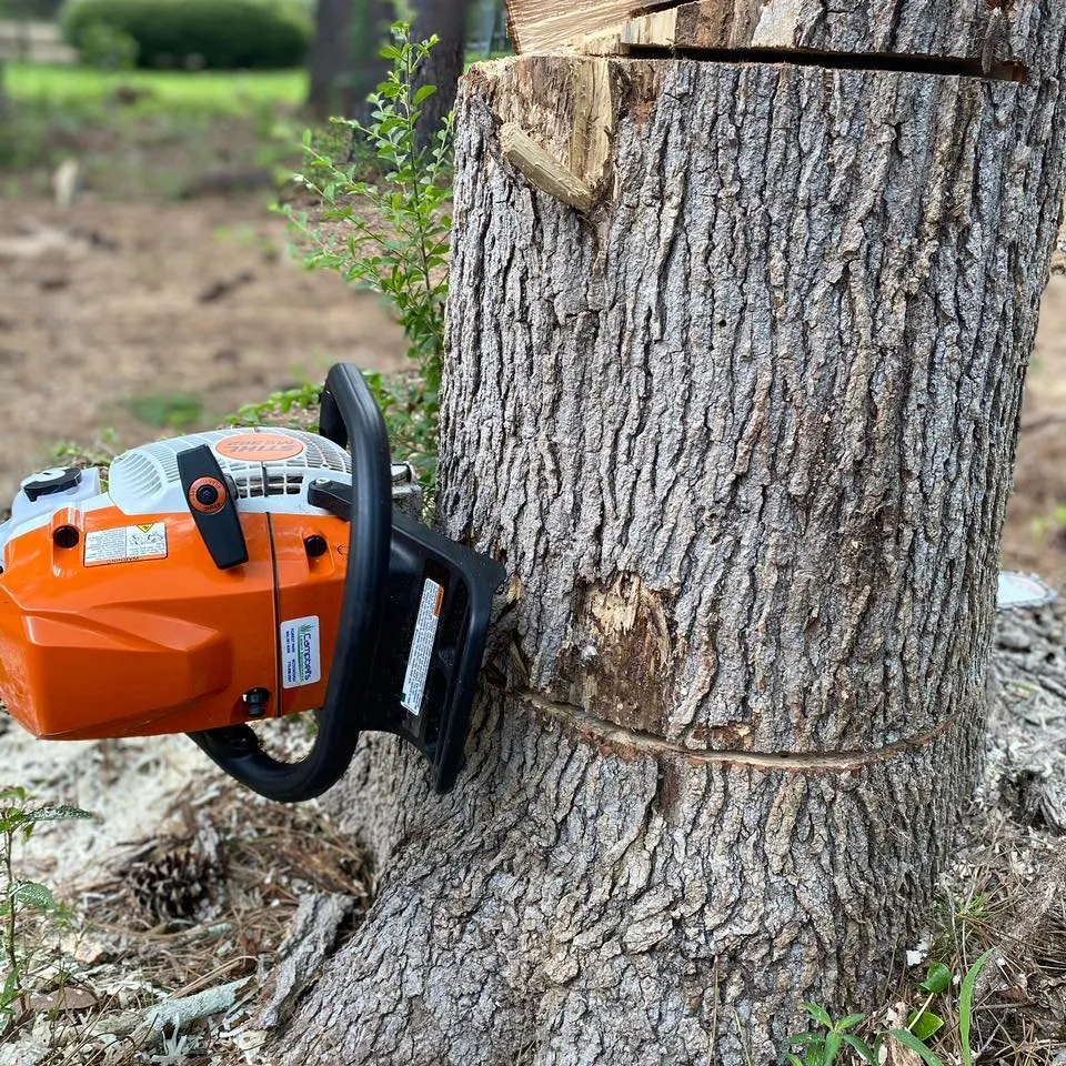 Reliable landscape installation experts serving Decatur, GA - Sanabria Property Management