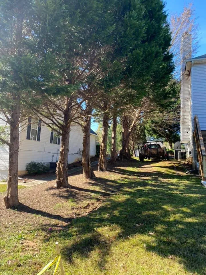 Affordable outdoor landscaping for residential properties in Decatur, GA by Sanabria Property Management