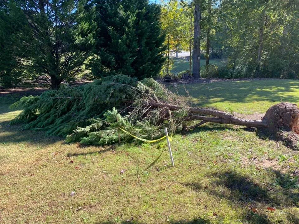 Top-rated yard maintenance in Decatur, GA - Sanabria Property Management