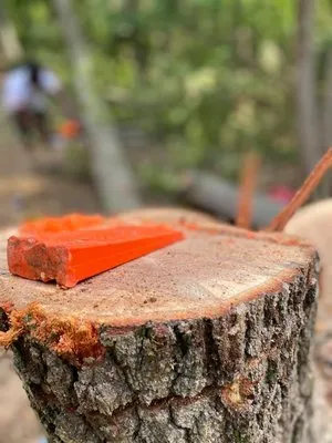 Sanabria Property Management Logo