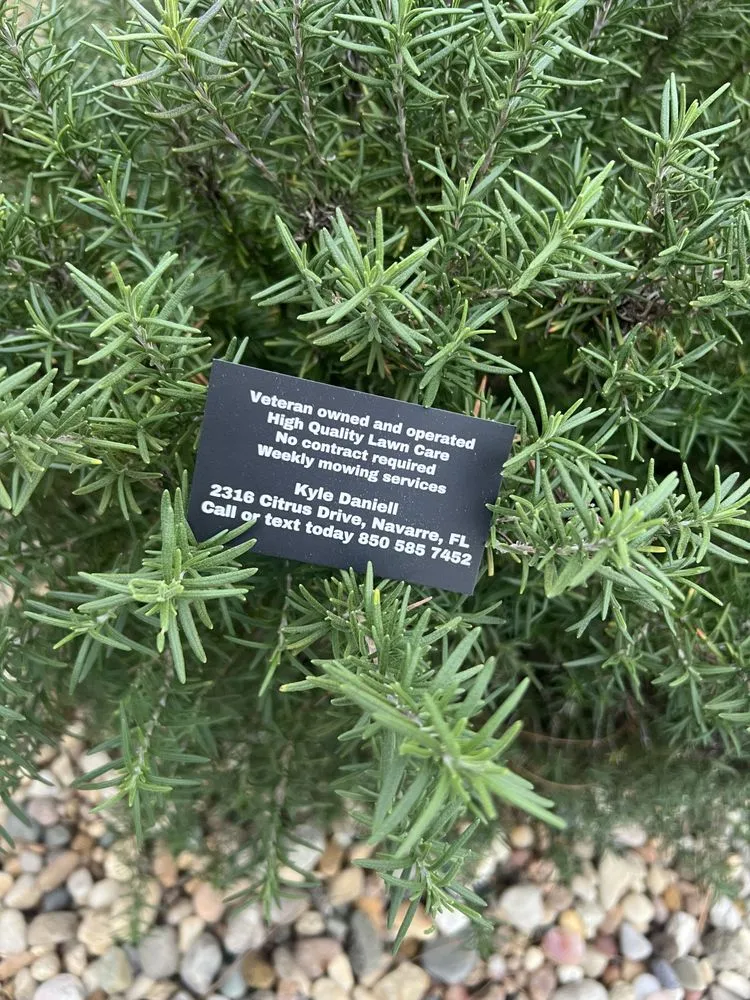 Top-rated yard cleanup service in Navarre, FL - Sanborn Lawn Care