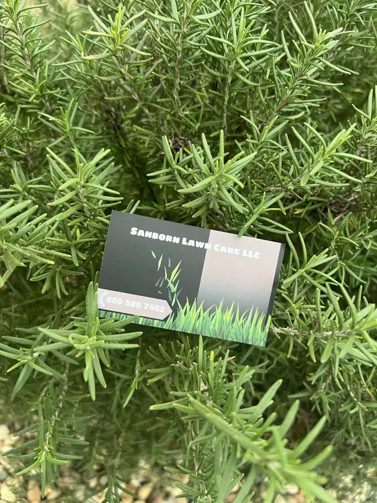 Top-rated residential landscaping for outdoor upgrades in Navarre, FL by Sanborn Lawn Care