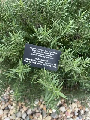 Sanborn Lawn Care Logo