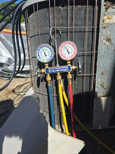 Expert landscape design in Indio, CA by Sanchas Home Services