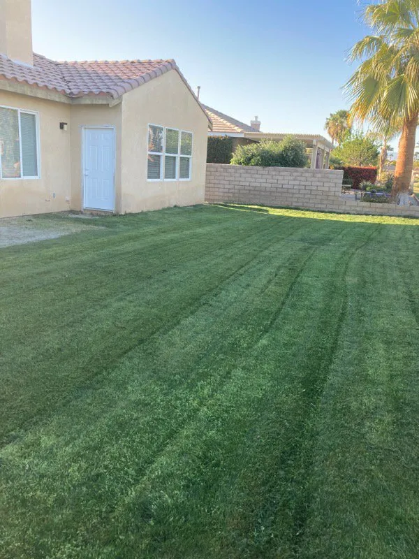 Professional landscape installation near you across Indio, CA - Sanchas Home Services