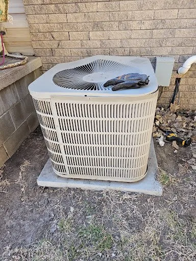 Reliable landscape installation experts serving Indio, CA - Sanchas Home Services