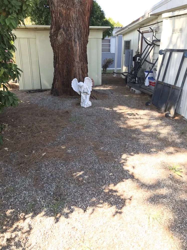 Professional garden landscaping in Hemet, CA by Sanchez & Bearden Gardening Service