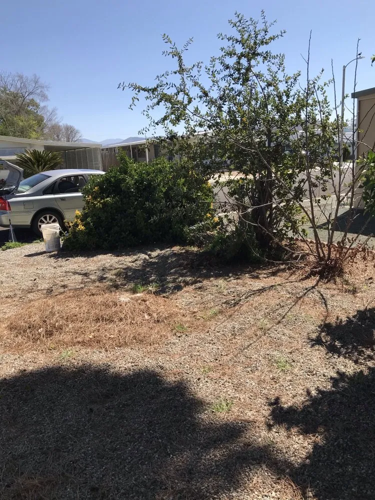 Trusted landscape design in Hemet, CA by Sanchez & Bearden Gardening Service