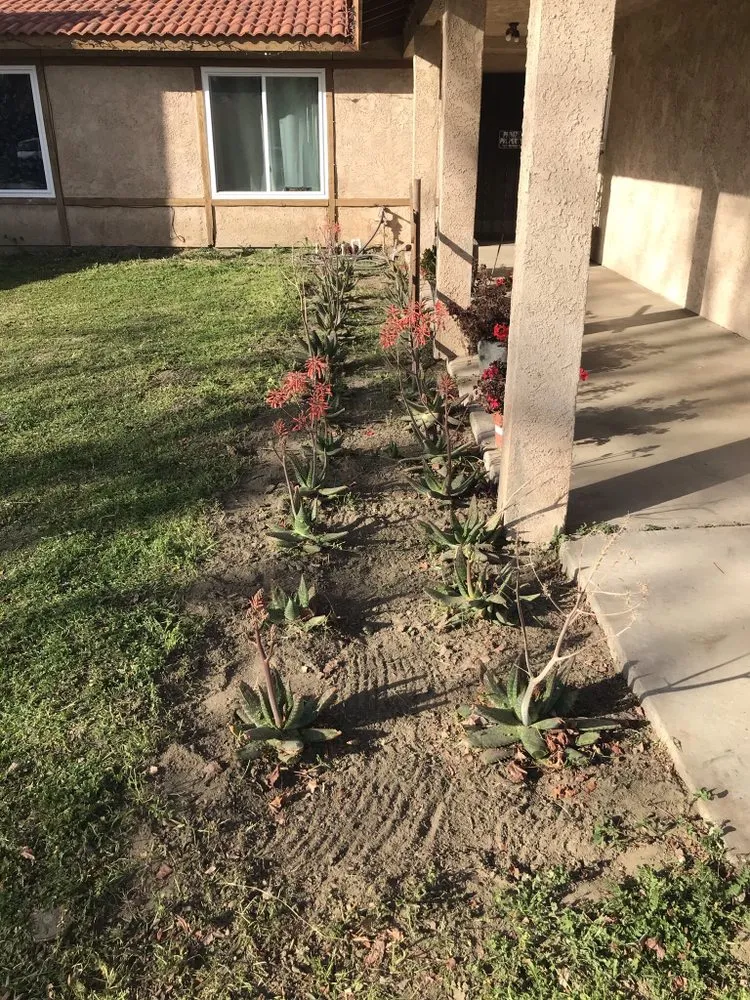 Custom lawn care service experts serving Hemet, CA - Sanchez & Bearden Gardening Service