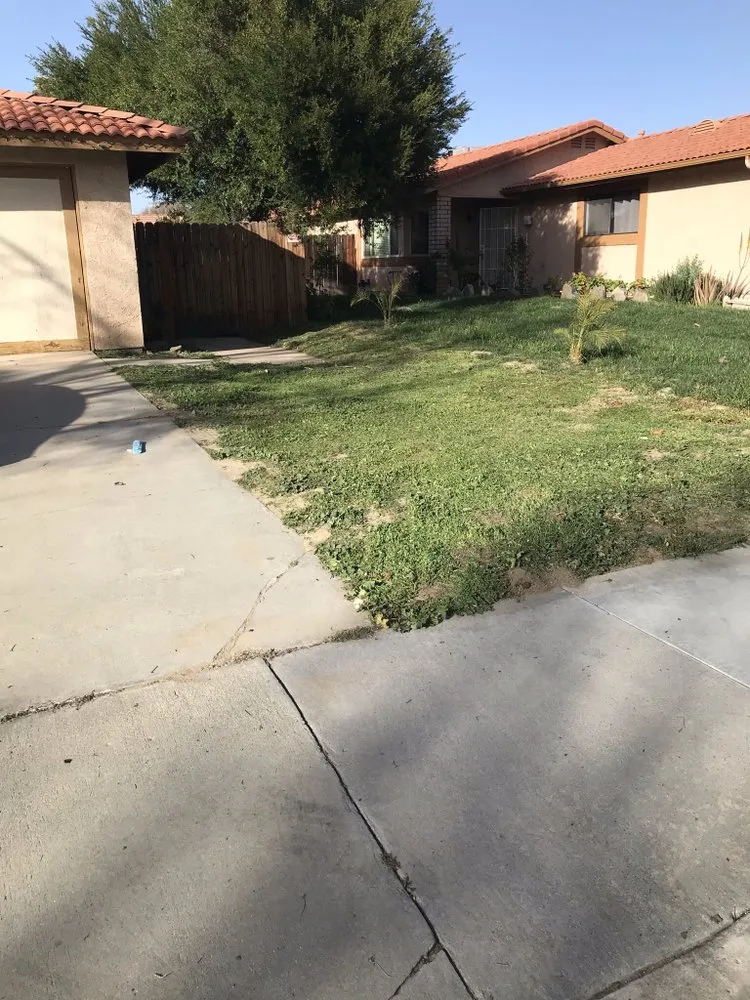 Reliable yard cleanup service in Hemet, CA - Sanchez & Bearden Gardening Service