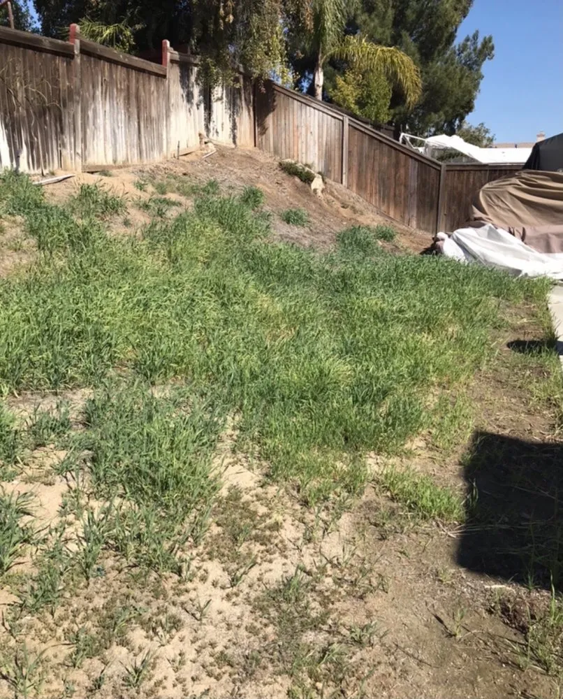 Expert garden landscaping experts serving Hemet, CA - Sanchez & Bearden Gardening Service