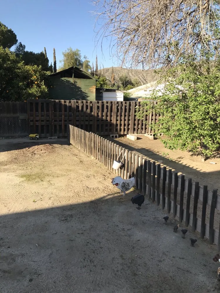 Custom lawn mowing service in Hemet, CA - Sanchez & Bearden Gardening Service