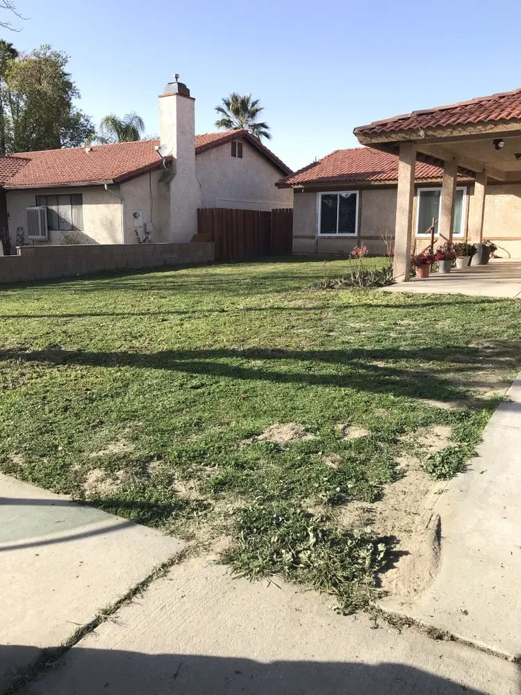 Trusted yard cleanup service for homes across Hemet, CA - Sanchez & Bearden Gardening Service