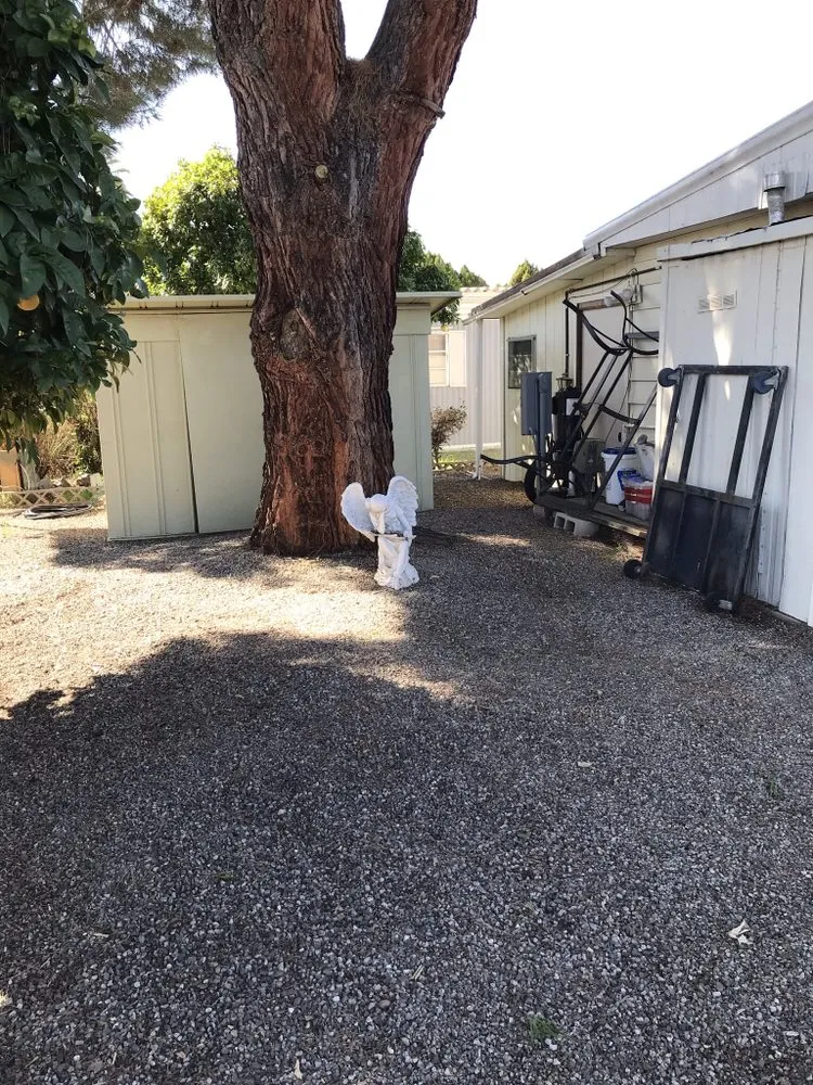 Affordable outdoor landscaping in Hemet, CA - Sanchez & Bearden Gardening Service