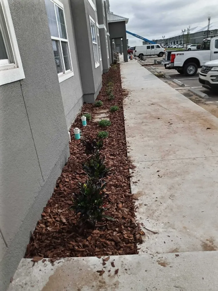 Reliable lawn mowing service in Wahneta, FL - Sanchez & Sanchez