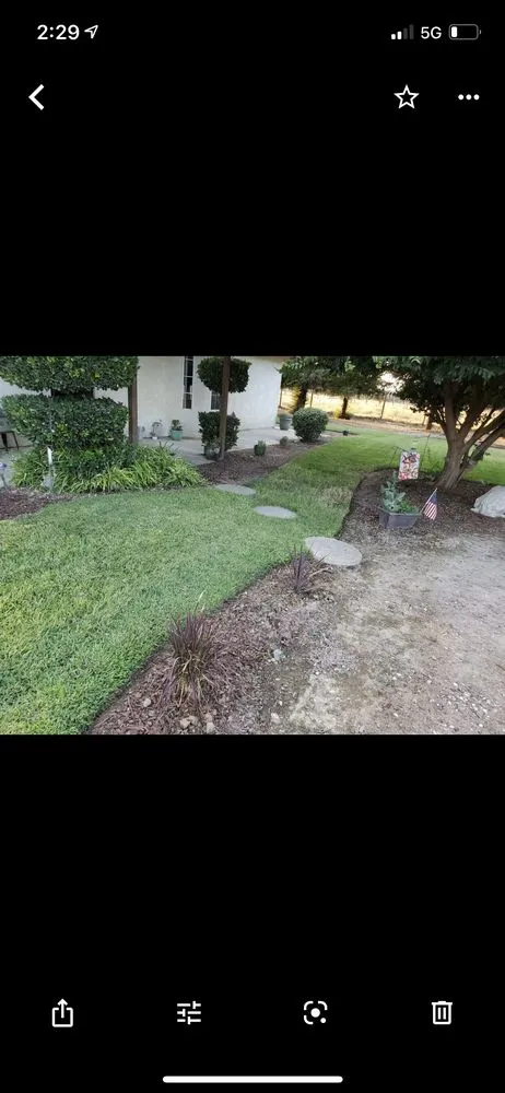 Top-rated lawn care service in Fresno, CA by Sanchez & Sons Lawn Care