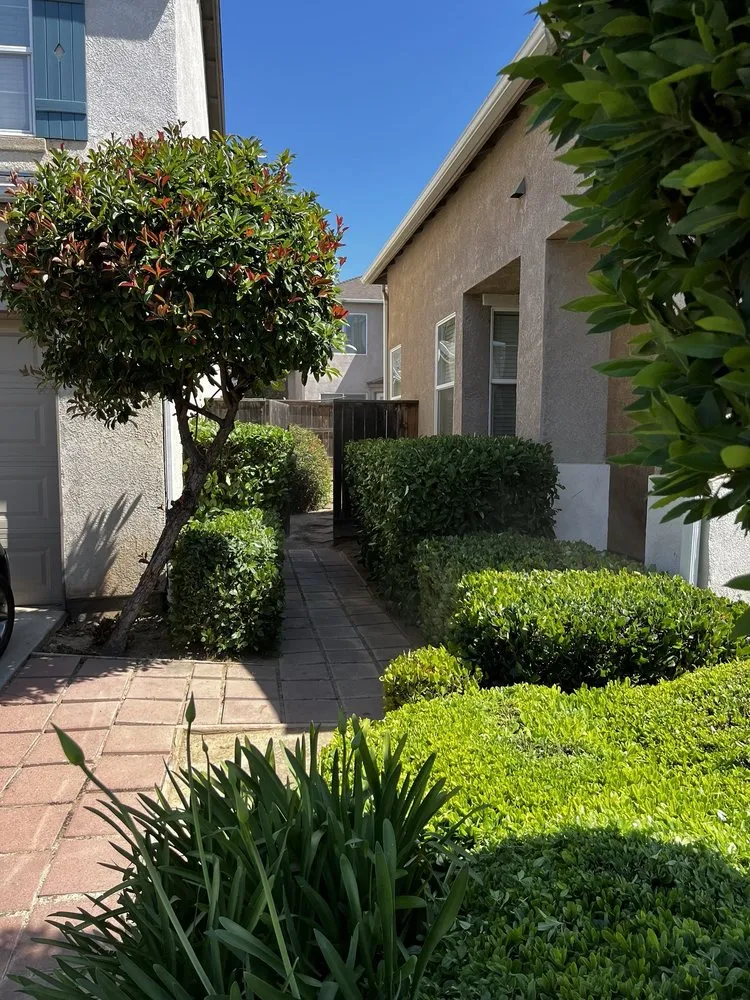 Local landscape installation in Fresno, CA - Sanchez & Sons Lawn Care