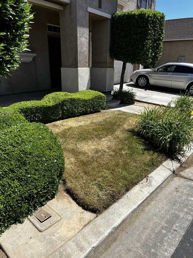 Custom lawn mowing service in Fresno, CA - Sanchez & Sons Lawn Care