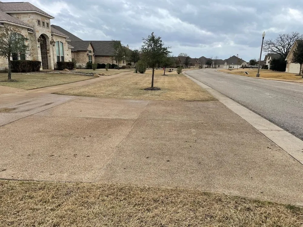 Top-rated yard maintenance in Bryan, TX by Sanchez and Sons Lawn & Landscaping