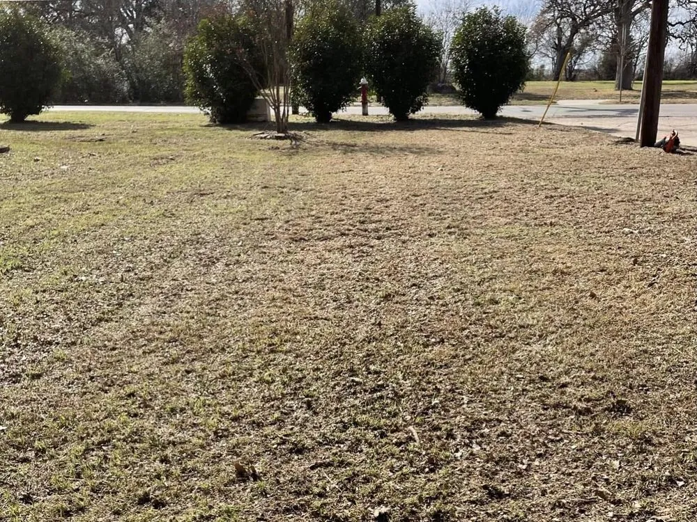 Affordable residential landscaping in Bryan, TX by Sanchez and Sons Lawn & Landscaping