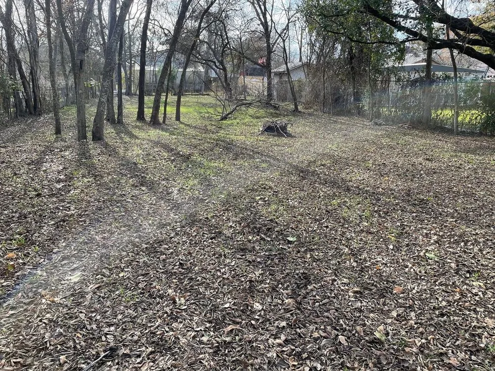 Trusted outdoor landscaping in Bryan, TX by Sanchez and Sons Lawn & Landscaping