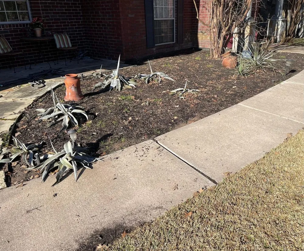 Local yard cleanup service experts serving Bryan, TX - Sanchez and Sons Lawn & Landscaping