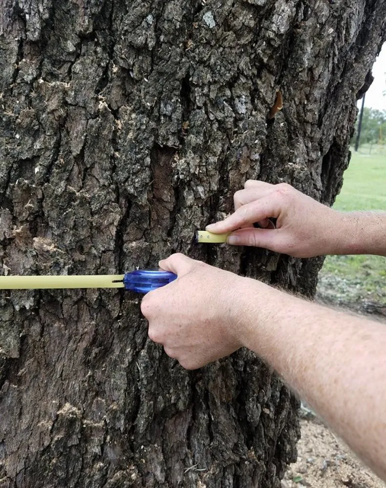 Local garden landscaping near you in Austin, TX by Sanchez And Sons Services