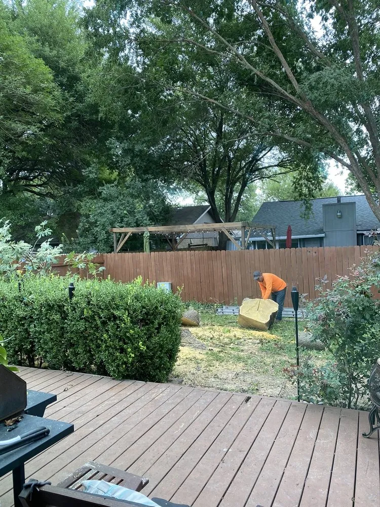 Local landscape design in Austin, TX - Sanchez And Sons Services