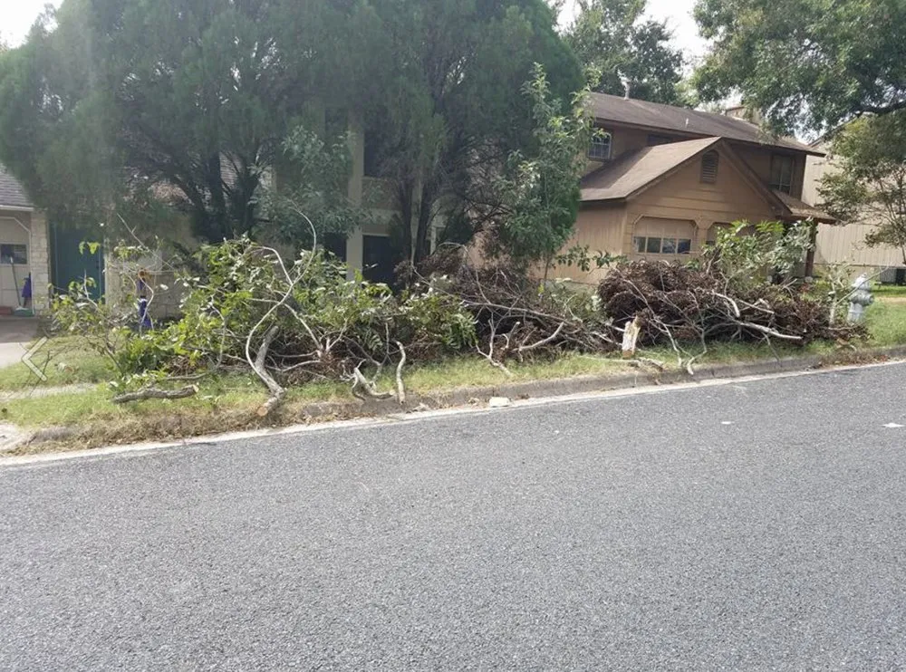 Reliable garden landscaping for residential properties across Austin, TX - Sanchez And Sons Services