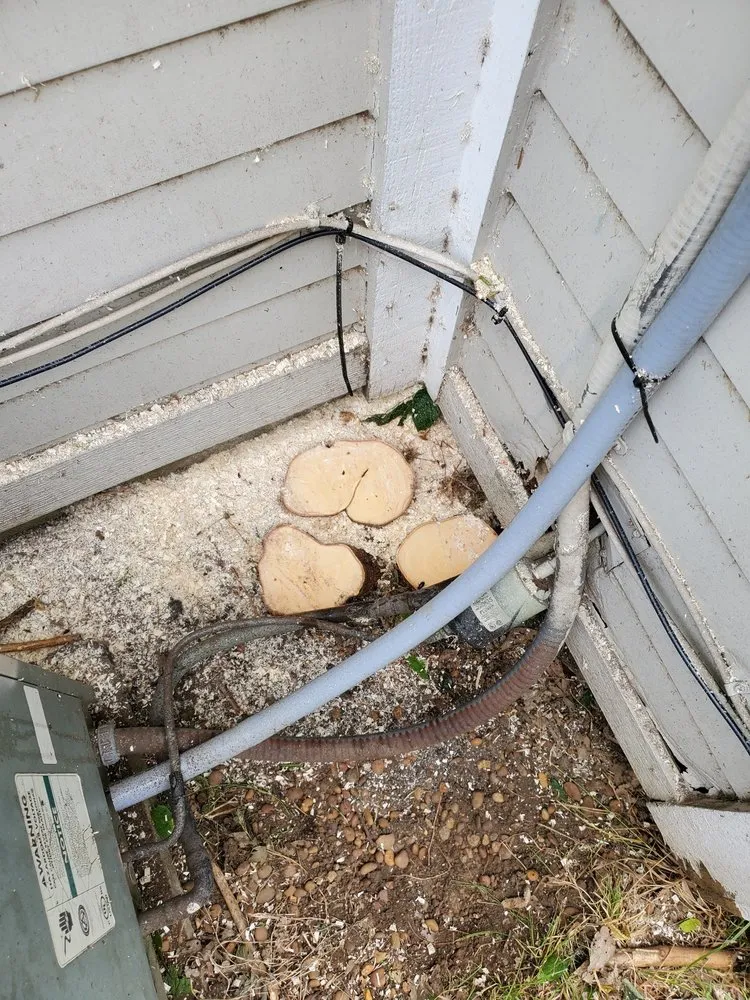 Expert garden landscaping in Austin, TX - Sanchez And Sons Services