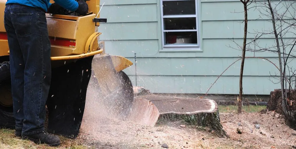 Custom landscape design in Austin, TX - Sanchez And Sons Services