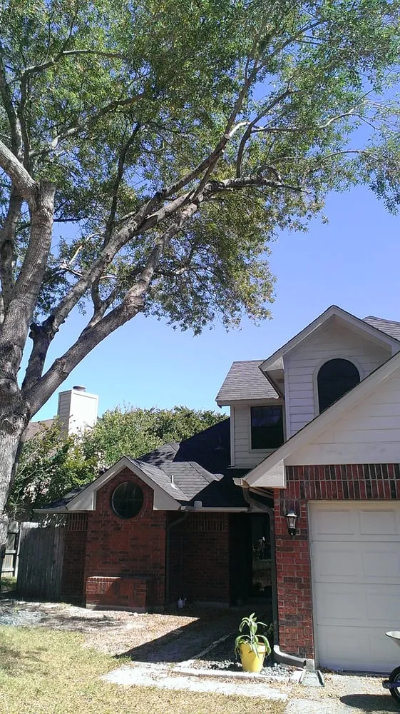 Top-rated lawn care service in Austin, TX - Sanchez And Sons Services