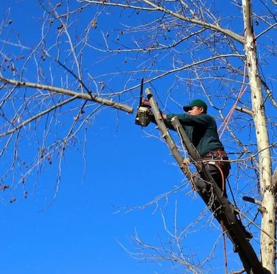 Sanchez And Sons Services Logo