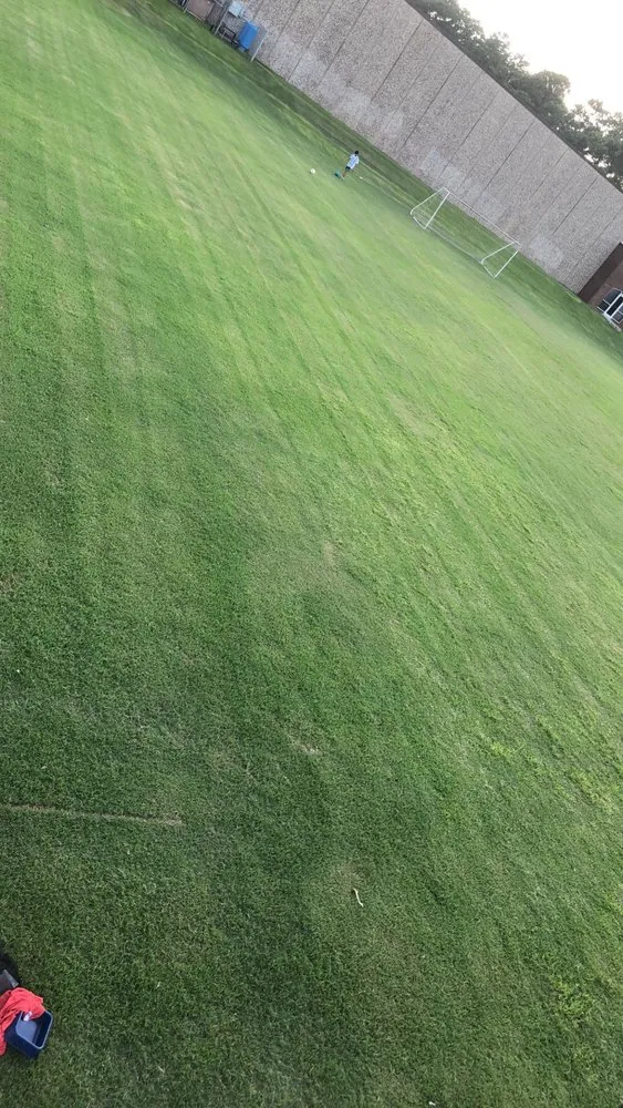 Professional garden landscaping experts serving The Woodlands, TX - Sanchez Brothers Landscaping