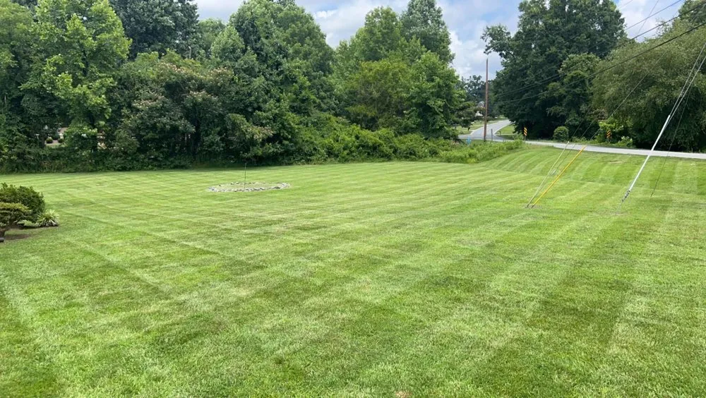 Custom yard cleanup service in Thomasville, NC - Sanchez Brothers Landscaping