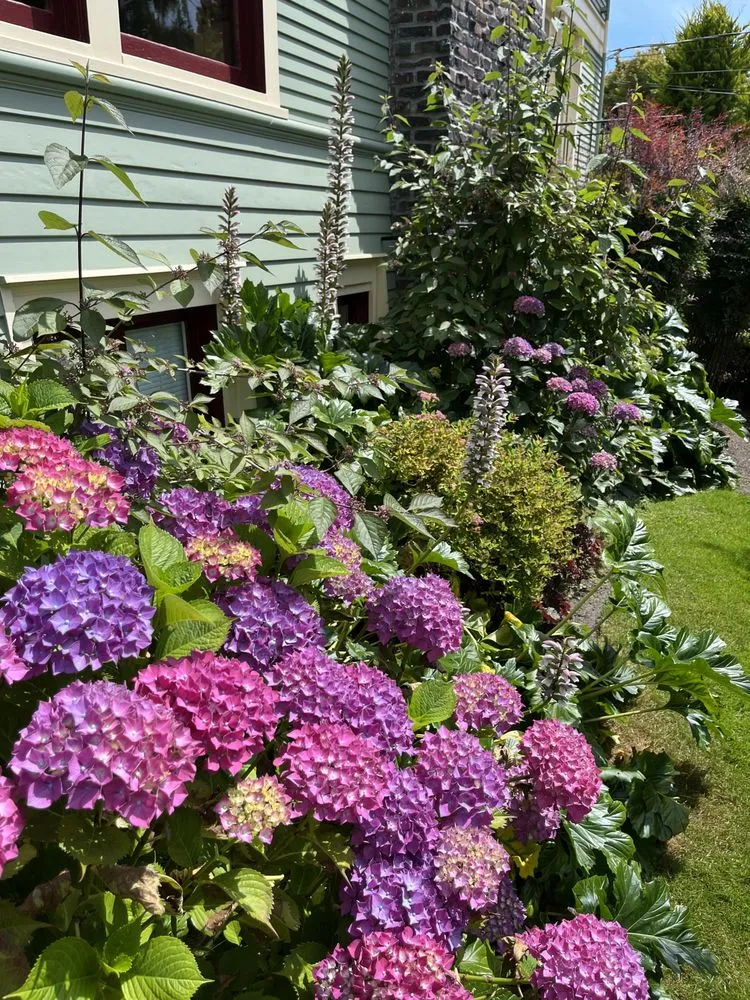 Top-rated landscape installation in Federal Way, WA - Sanchez Clean Scape Services