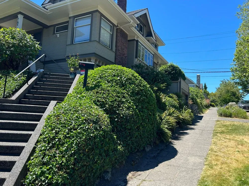 Top-rated yard maintenance with custom design across Federal Way, WA - Sanchez Clean Scape Services